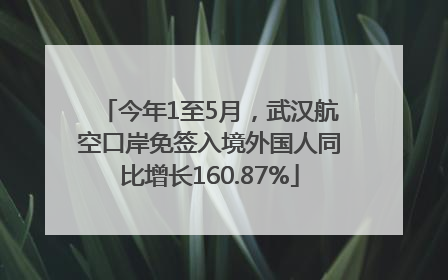 今年1至5月，武汉航空口岸免签入境外国人同比增长160.87%