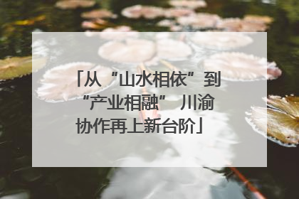 从“山水相依”到“产业相融” 川渝协作再上新台阶