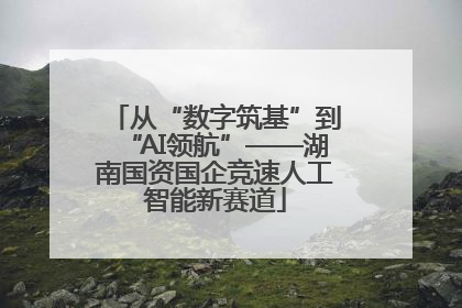 从“数字筑基”到“AI领航”——湖南国资国企竞速人工智能新赛道