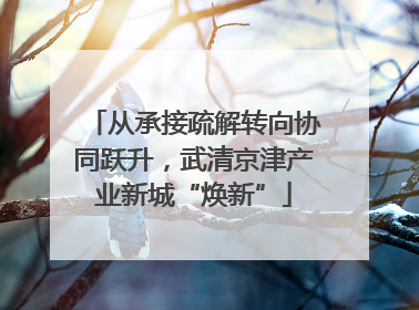 从承接疏解转向协同跃升，武清京津产业新城“焕新”