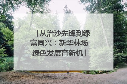 从治沙先锋到绿富同兴：新华林场绿色发展育新机