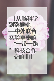 从脑科学到猕猴桃——中外联合实验室奏响“一带一路”科技合作交响曲