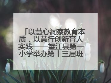 以慧心洞察教育本质，以慧行创新育人实践——望江县第一小学举办第十三届班主任论坛