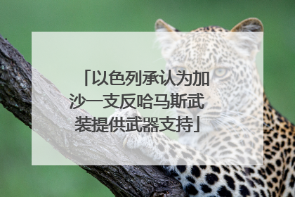 以色列承认为加沙一支反哈马斯武装提供武器支持