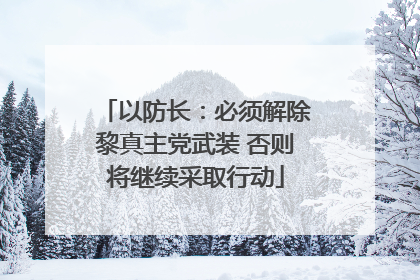 以防长：必须解除黎真主党武装 否则将继续采取行动