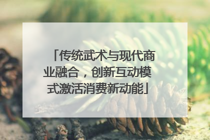 传统武术与现代商业融合，创新互动模式激活消费新动能