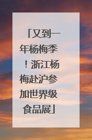 又到一年杨梅季！浙江杨梅赴沪参加世界级食品展