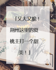 又大又脆！荆州这里的夏桃主打一个甜美！