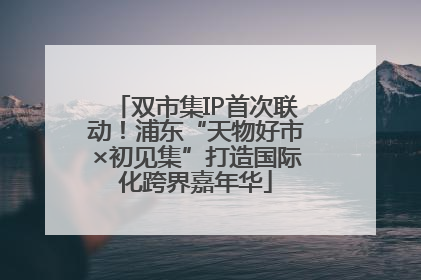 双市集IP首次联动！浦东“天物好市×初见集”打造国际化跨界嘉年华