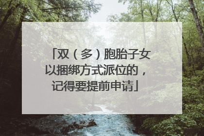 双（多）胞胎子女以捆绑方式派位的，记得要提前申请
