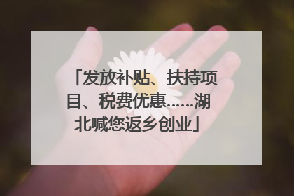 发放补贴、扶持项目、税费优惠……湖北喊您返乡创业