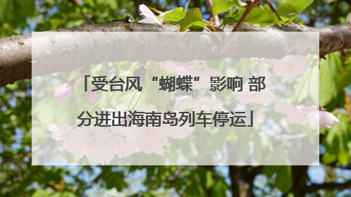 受台风“蝴蝶”影响 部分进出海南岛列车停运