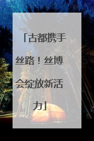 古都携手丝路！丝博会绽放新活力