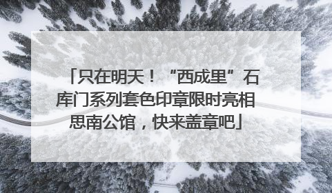 只在明天！“西成里”石库门系列套色印章限时亮相思南公馆，快来盖章吧