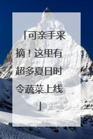 可亲手采摘！这里有超多夏日时令蔬菜上线