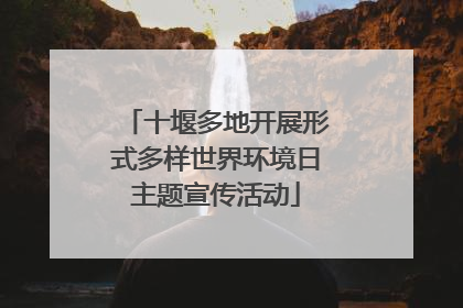 十堰多地开展形式多样世界环境日主题宣传活动