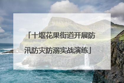 十堰花果街道开展防汛防灾防溺实战演练