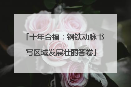 十年合福：钢铁动脉书写区域发展壮丽答卷