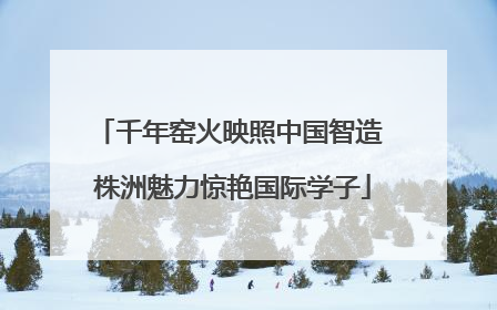 千年窑火映照中国智造 株洲魅力惊艳国际学子