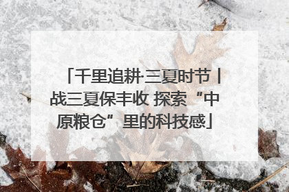 千里追耕·三夏时节丨战三夏保丰收 探索“中原粮仓”里的科技感