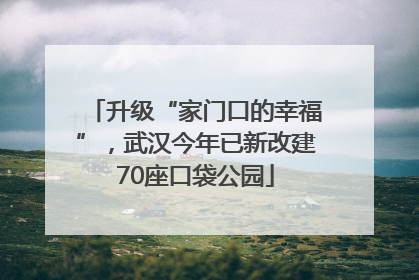 升级“家门口的幸福”，武汉今年已新改建70座口袋公园