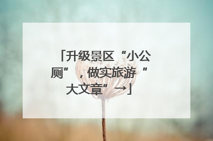 升级景区“小公厕”，做实旅游“大文章”→