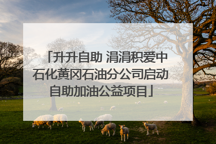 升升自助 涓涓积爱中石化黄冈石油分公司启动自助加油公益项目