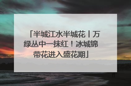 半城江水半城花丨万绿丛中一抹红！冰城锦带花进入盛花期