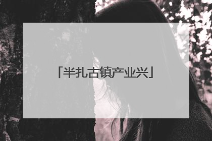 半扎古镇产业兴