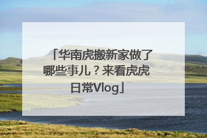 华南虎搬新家做了哪些事儿？来看虎虎日常Vlog