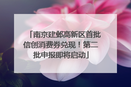 南京建邺高新区首批信创消费券兑现！第二批申报即将启动