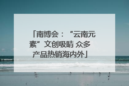 南博会：“云南元素”文创吸睛 众多产品热销海内外