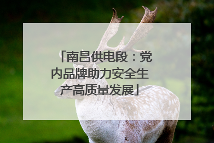 南昌供电段：党内品牌助力安全生产高质量发展
