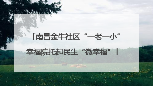 南昌金牛社区“一老一小”幸福院托起民生“微幸福”