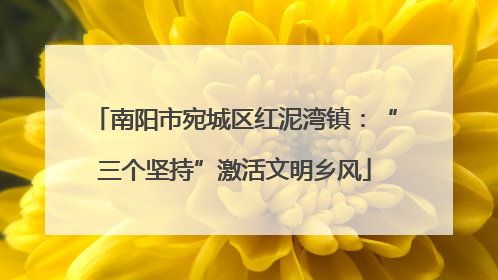南阳市宛城区红泥湾镇：“三个坚持”激活文明乡风