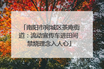 南阳市宛城区茶庵街道：流动宣传车进田间 禁烧理念入人心