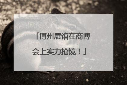 博州展馆在商博会上实力抢镜！