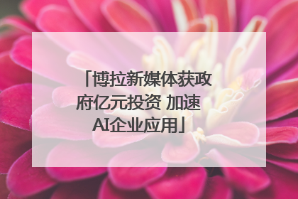 博拉新媒体获政府亿元投资 加速AI企业应用