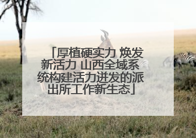 厚植硬实力 焕发新活力 山西全域系统构建活力迸发的派出所工作新生态