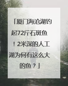 厦门海沧湖钓起72斤石斑鱼！2米深的人工湖为何有这么大的鱼？