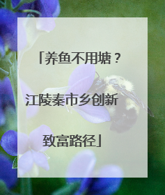 养鱼不用塘？江陵秦市乡创新致富路径
