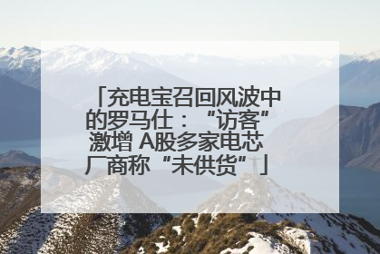 充电宝召回风波中的罗马仕：“访客”激增 A股多家电芯厂商称“未供货”