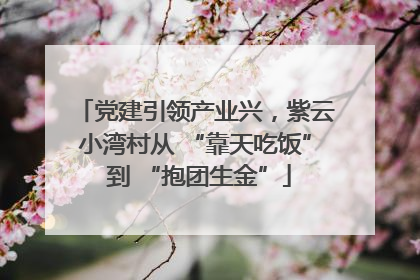 党建引领产业兴，紫云小湾村从 “靠天吃饭” 到 “抱团生金”