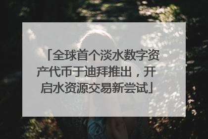 全球首个淡水数字资产代币于迪拜推出，开启水资源交易新尝试