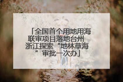全国首个用地用海联审项目落地台州 浙江探索“地林草海”审批一次办