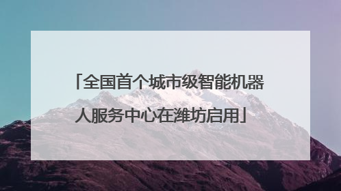 全国首个城市级智能机器人服务中心在潍坊启用