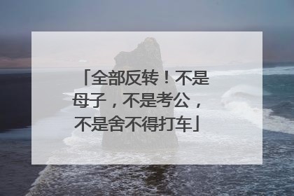 全部反转！不是母子，不是考公，不是舍不得打车