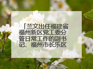 兰文出任福建省福州新区党工委分管日常工作的副书记、福州市长乐区委书记