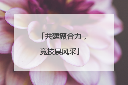 共建聚合力，竞技展风采