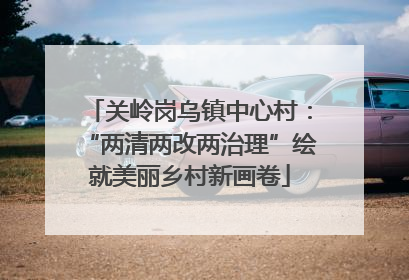 关岭岗乌镇中心村：“两清两改两治理”绘就美丽乡村新画卷